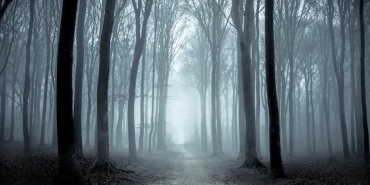 Европа под заплаха: Климатична промяна унищожава градове.