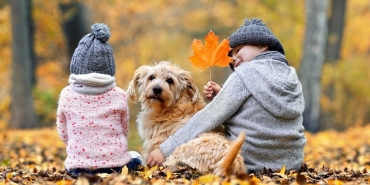 Очаква ли ни сняг? Седмична прогноза за времето (10-16 ноември 2025 г.)