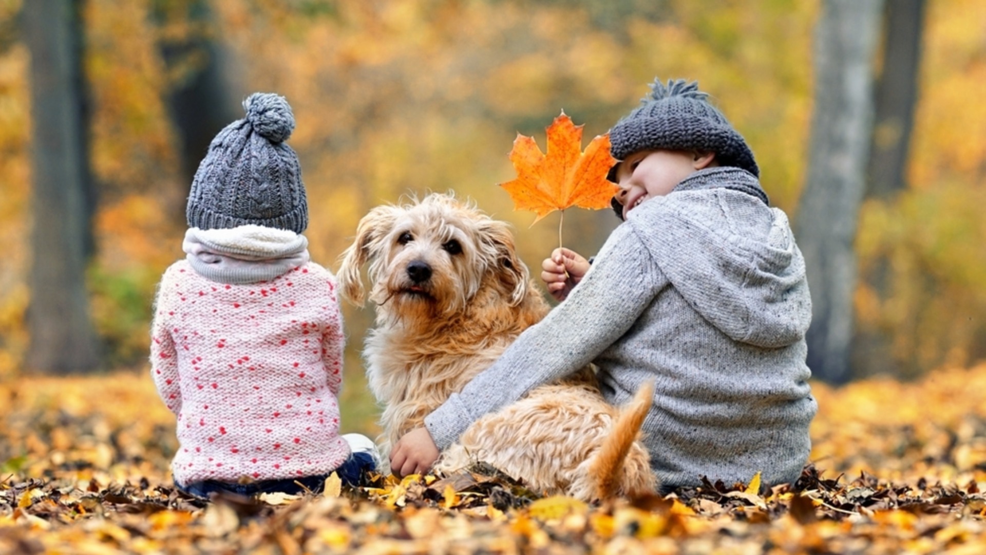 Очаква ли ни сняг? Седмична прогноза за времето (10-16 ноември 2025 г.)
