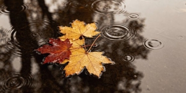 Септември щедро раздава слънце и дъжд преди финалното циганско лято.