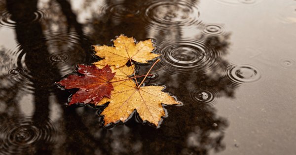 Септември щедро раздава слънце и дъжд преди финалното циганско лято.
