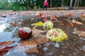Значителни валежи очакват страната в събота, НИМХ предупреждава с жълт код (+КАРТА)