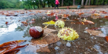 Значителни валежи очакват страната в събота, НИМХ предупреждава с жълт код (+КАРТА)