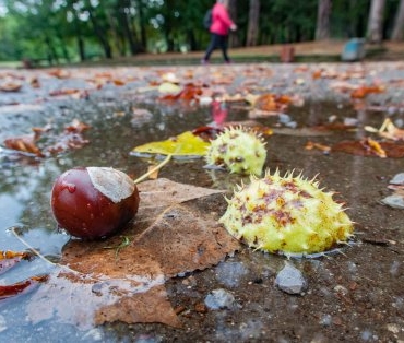 Значителни валежи очакват страната в събота, НИМХ предупреждава с жълт код (+КАРТА)