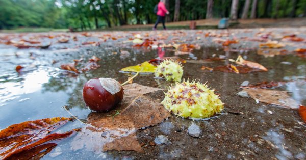 Значителни валежи очакват страната в събота, НИМХ предупреждава с жълт код (+КАРТА)
