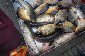 Цените на шарана скачат преди Никулден.